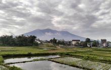 Gunung Marapi Erupsi, Semburkan Abu Vulkanik Setinggi 500 Meter