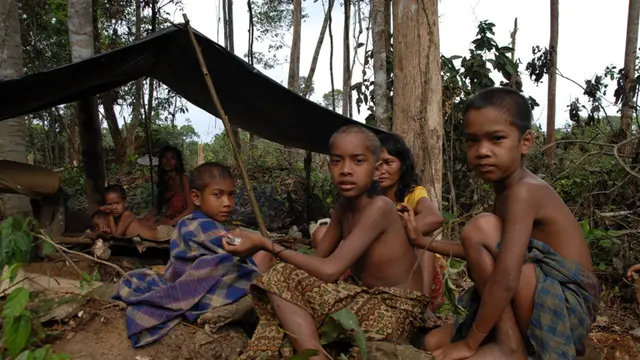 Orang Rimba