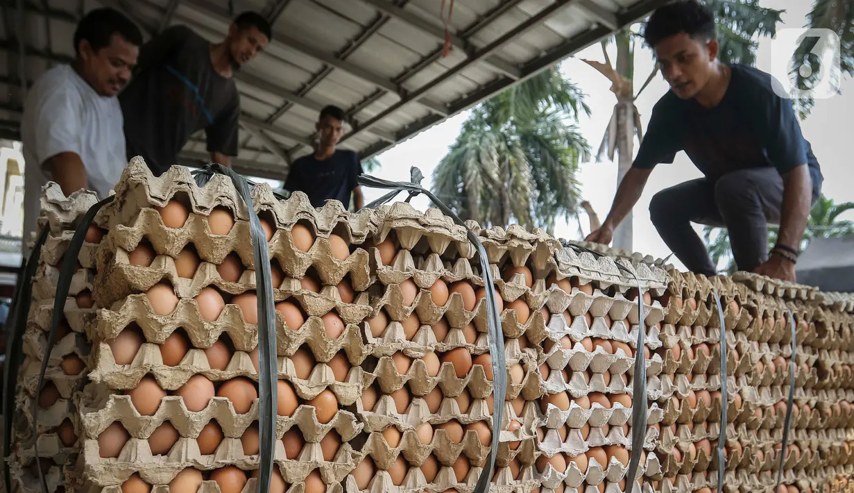 Menurut pantauan data Badan Pangan Nasional, harga komoditas telur ayam ras naik sebesar Rp 50 menjadi Rp 28.360 per kg atau naik 0,18 persen. (Liputan6.com/Angga Yuniar)