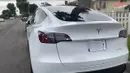 Penampakkan mobilnya dari belakang yang baru ia beli. Ini adalah Tesla model Y keluaran 2023 dan Cinta sangat senang menunjukannya.  [Youtube/Cinta]