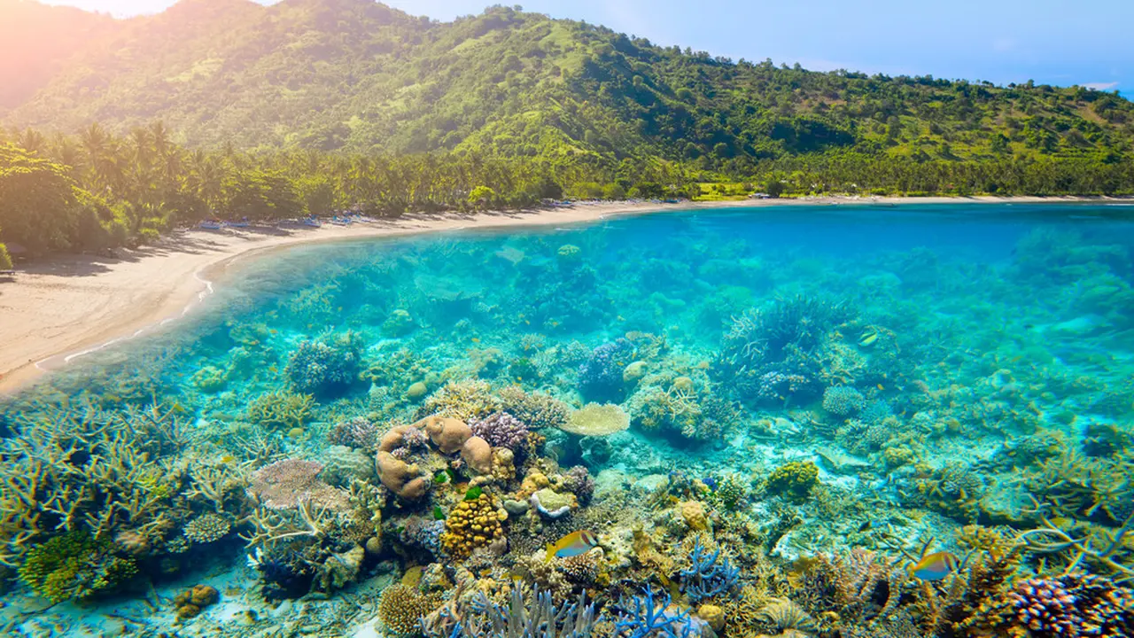 Mumpung Banyak Promo Tiket, Saatnya Cicip Snorkeling di Spot Terindah Tanah Air