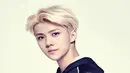 Forum netizen Pann, Senin (8/8/2016), membahas beberapa bukti Sehun memang tak layak sebagai penyanyi. Salah satunya, netizen kembali mengejek penampilan Sehun di acara Yoo Hee Yeol’s Sketchbook. (Soompi/Bintang.com)