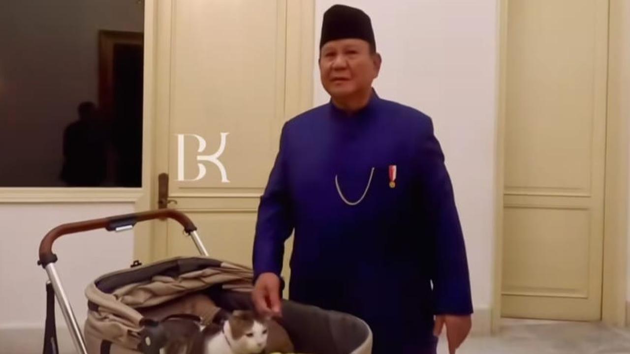 Sah, Bobby The Cat jadi 'Penguasa Istana Merdeka' Dampingi Prabowo