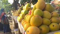 Berkah Lebaran, pedagang buah Mangga Gedong Gincu di Cirebon banyak diburu. Foto (Liputan6.com / Panji Prayitno)