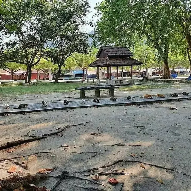 10 Potret Absurd Hewan saat di Tempat Umum Ini Bikin Heran