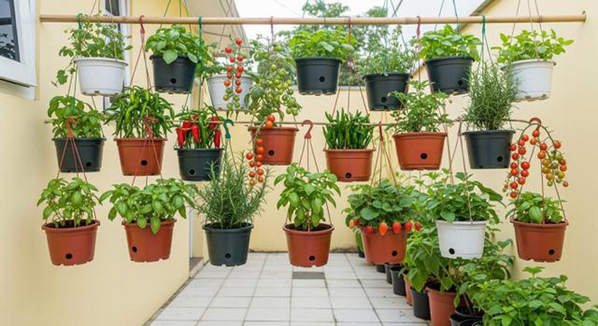7 Model Kebun Sayur Dekat Teras Samping yang Sempit tapi Rapi, Inspirasi Hunian 2026