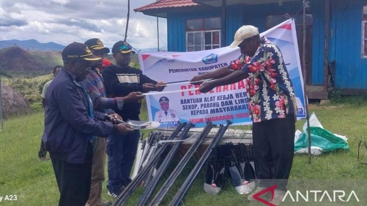 Pemkab Jayawijaya Salurkan Bantuan Alat Pertanian, Dorong Produktivitas Kelompok Tani Bpiri