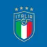 Tim Nasional Italia merupakan salah satu negara yang sukses meraih banyak gelar di berbagai kompetisi internasional