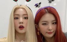 Irene dan Seulgi akan Comeback Setelah Penantian Panjang, Siap Menyihir Penggemar