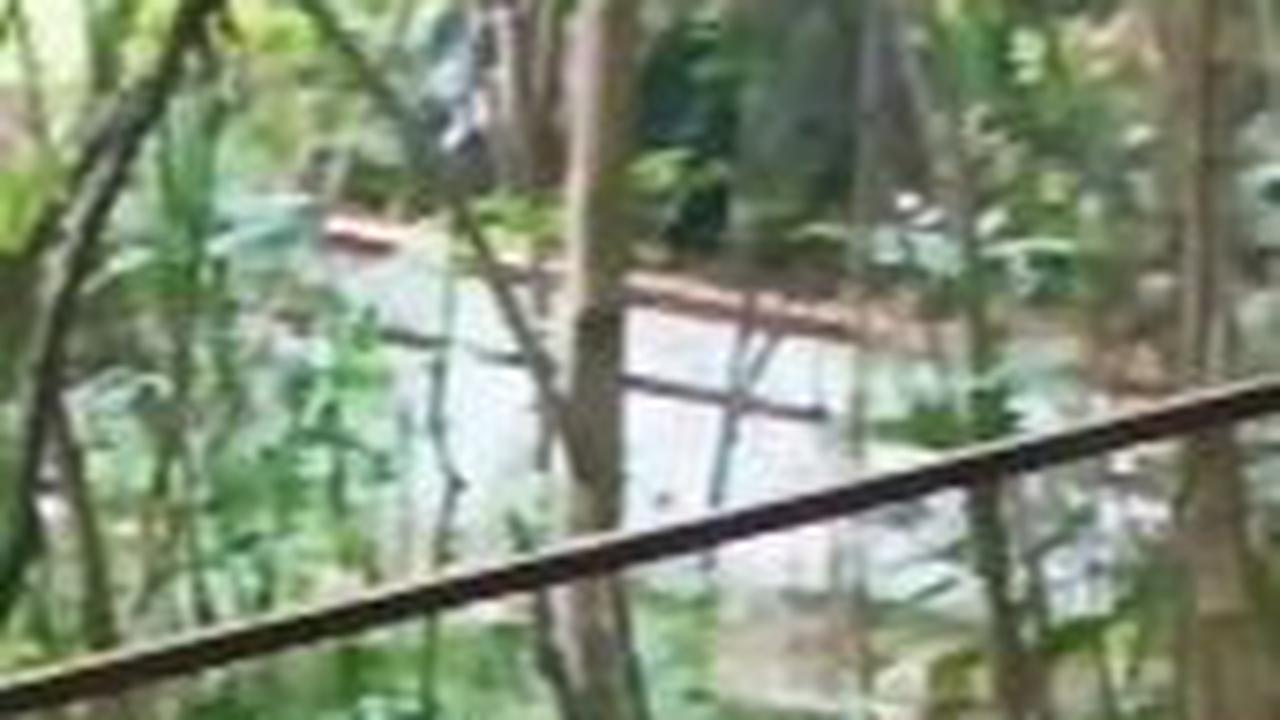 Di area belakang rumah terdapat kolam renang. Akan tetapi, kolam renang ini sudah tertutup dengan dedaunan kering. <br>
