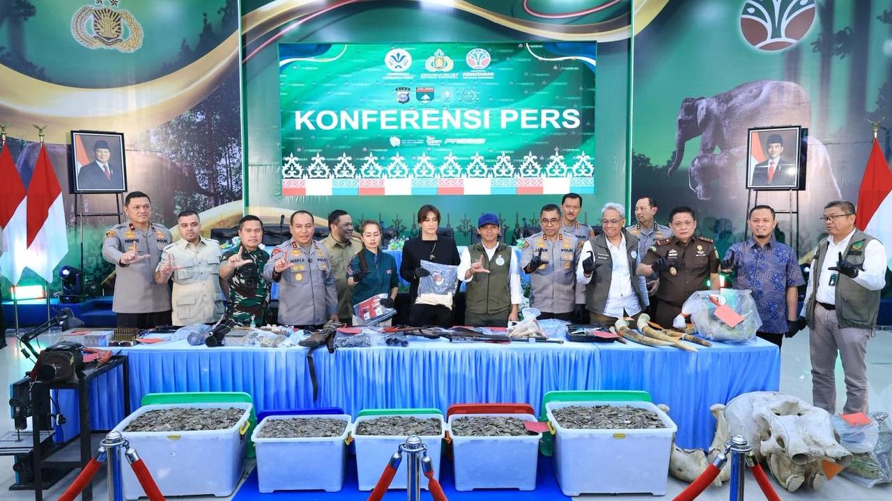 Polda Riau Bekuk 15 Tersangka Jaringan Perburuan Gajah Sumatera Lintas Provinsi