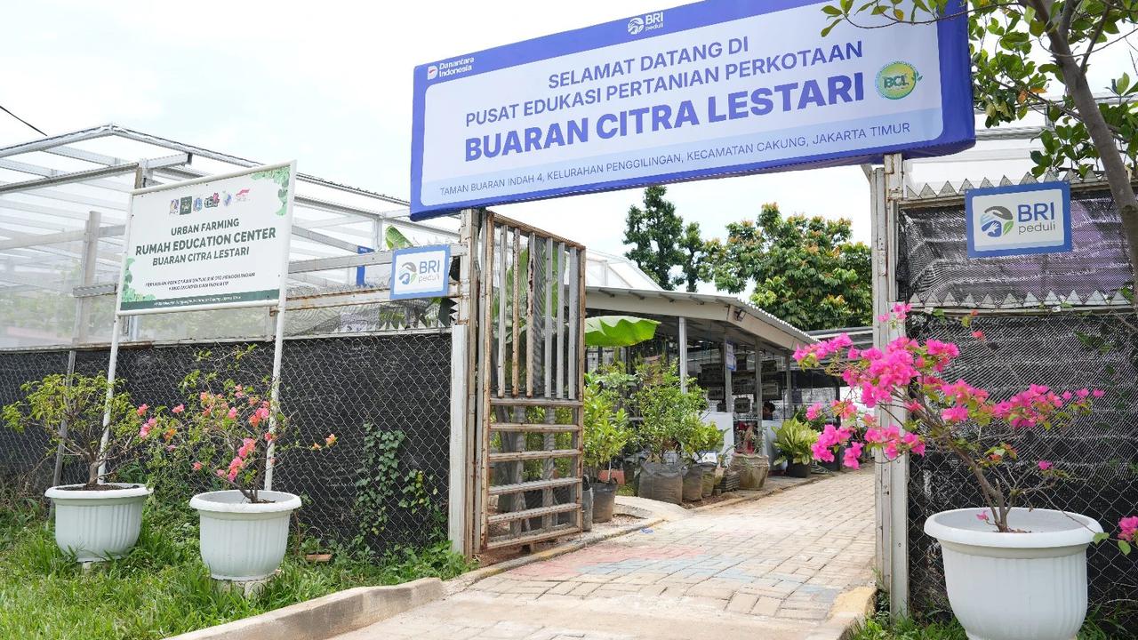 Kisah Inspiratif KWT Buaran Citra Lestari Manfaatkan Lahan Sempit untuk Tanaman Produktif