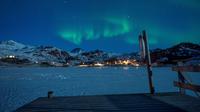 Pemandangan fenomena alam Aurora Borealis atau Northern Lights di Kepulauan Lofoten, Bostad, lingkaran Arktik, Norwegia, Sabtu (3/3). Cahaya Aurora biasa terlihat di sekitar daerah Kutub Utara dan Selatan. (Olivier MORIN/AFP)