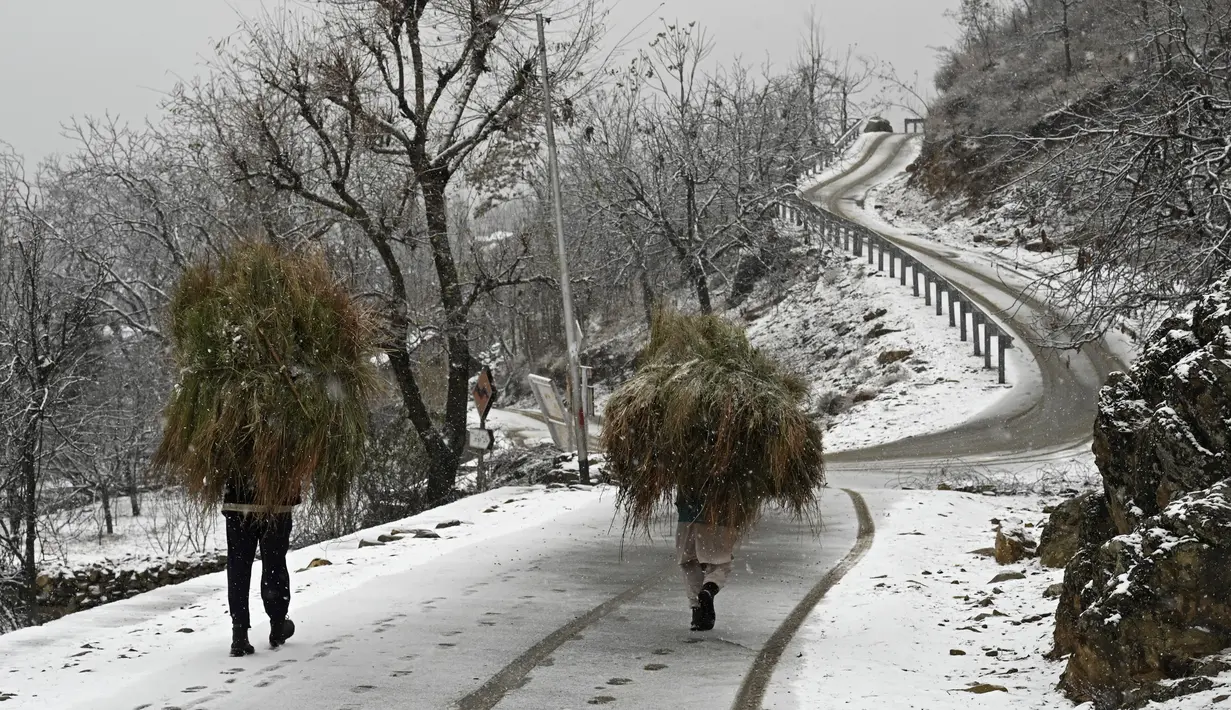 Para pria membawa makanan ternak melewati jalan setelah hujan salju di pinggiran Srinagar, Kashmir, India, pada 29 Desember 2020. Hujan salju memutihkan kota utama di Kashmir tersebut. (Photo by Tauseef MUSTAFA / AFP)
