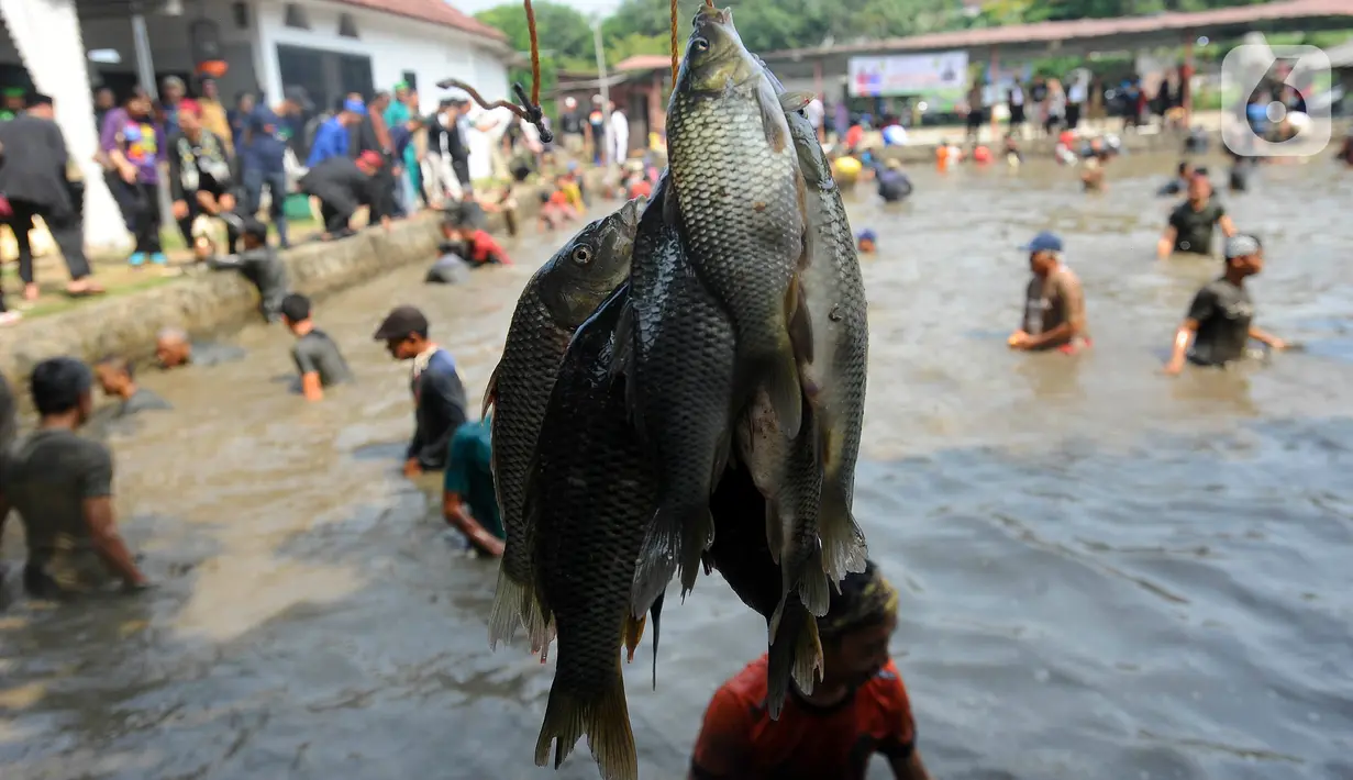 Lebaran Depok Jilid 5 tahun ini juga akan menampilkan tradisi Nyedengin Baju, Motong Kebo Andil, Pasar Pengabisan, dan Rantangan. (merdeka.com/Arie Basuki)