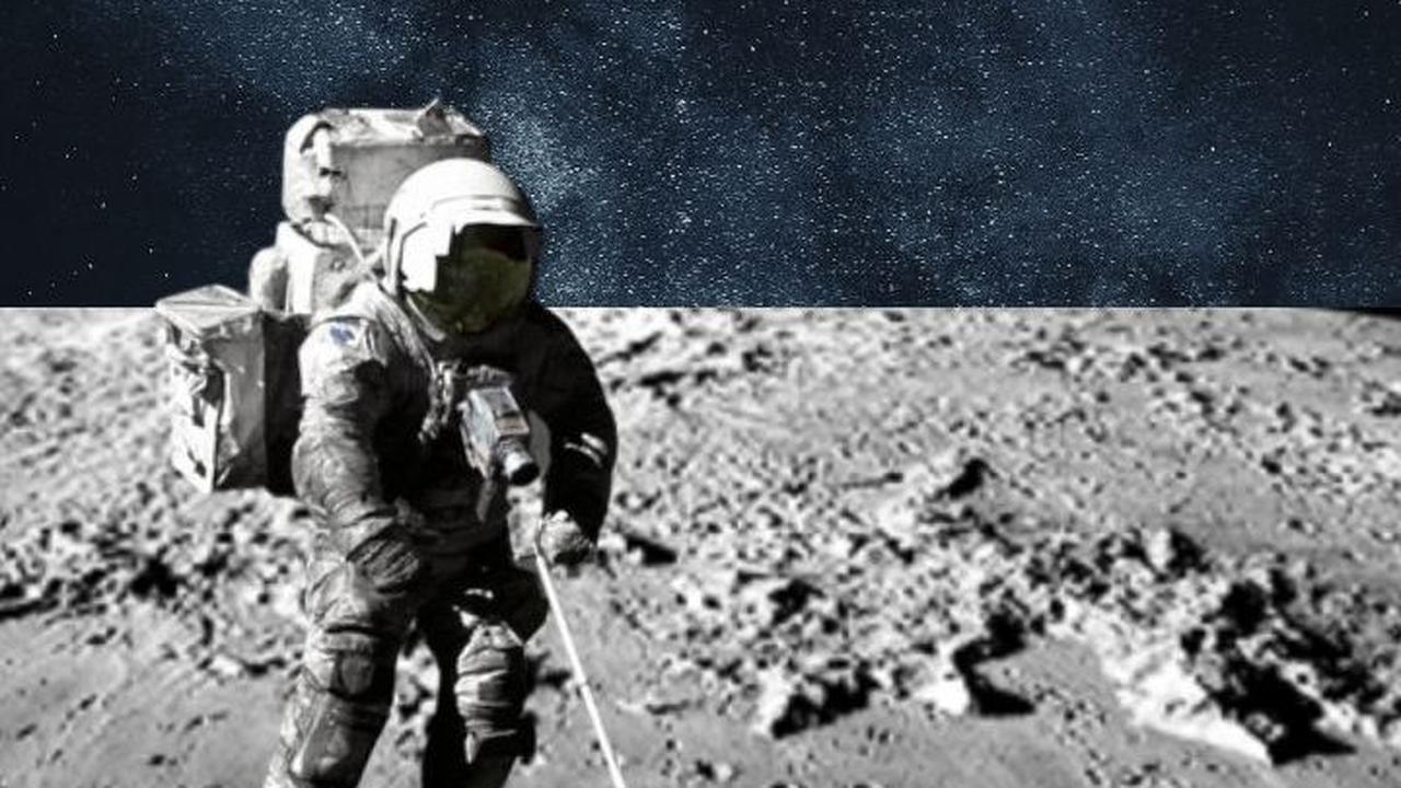 Ilmuwan China Takjub saat Uji Coba Tanam Biji Pohon Ini di Bulan, Ternyata Bisa Tumbuh Subur
