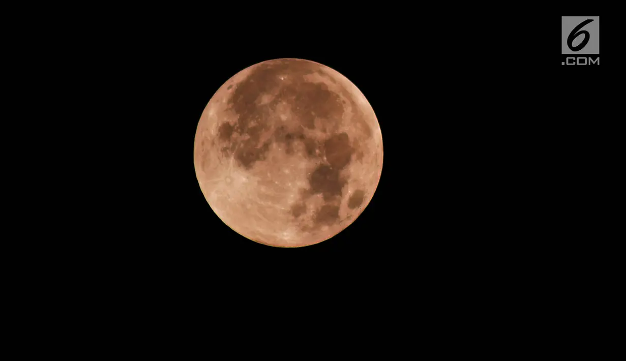 Gerhana bulan total terlihat di kota Semarang, Sabtu (28/7) dini hari. Gerhana bulan total tahun ini merupakan fenomena langka karena terjadi selama 1 jam 43 menit atau merupakan gerhana terlama yang terjadi di abad ini. (Liputan6.com/Gholib)