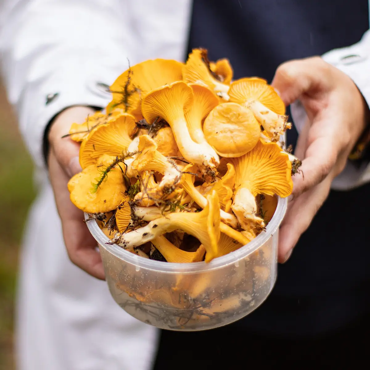 5 Jenis Jamur Yang Aman Dikonsumsi Dan Bisa Ditanam Di Rumah - Lifestyle  Fimela.com