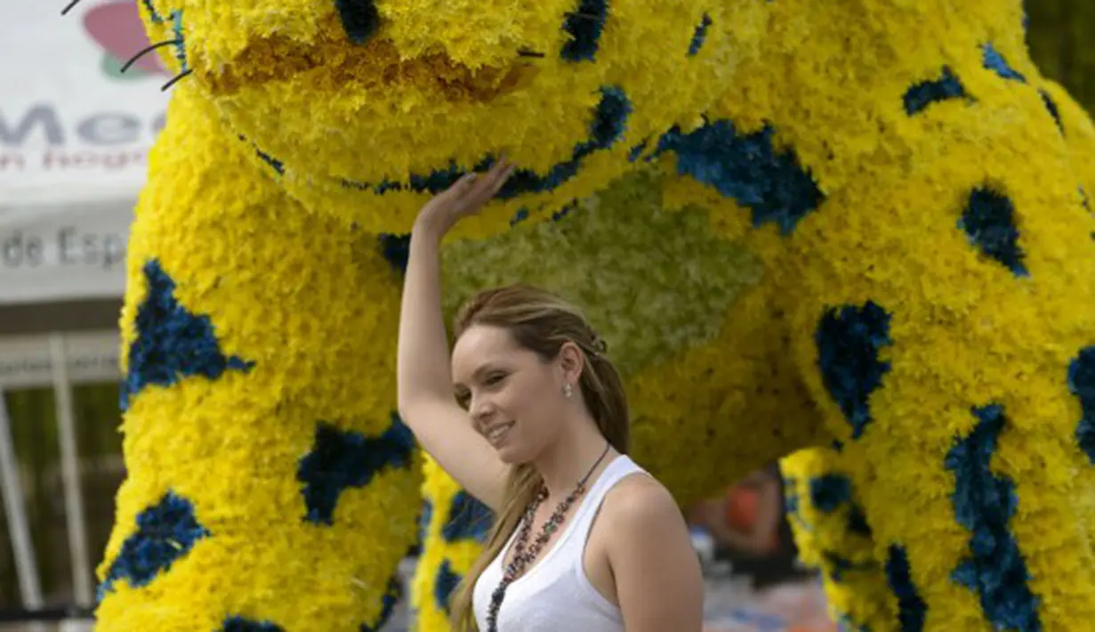 Seorang pengunjung sedang berpose bersama macan besar yang terbuat dari rangkaian bunga. Foto diambil pada 31 Juli 2014 saat Festival Bunga Medellin di Kolombia (AFP PHOTO/Raul ARBOLEDA)
