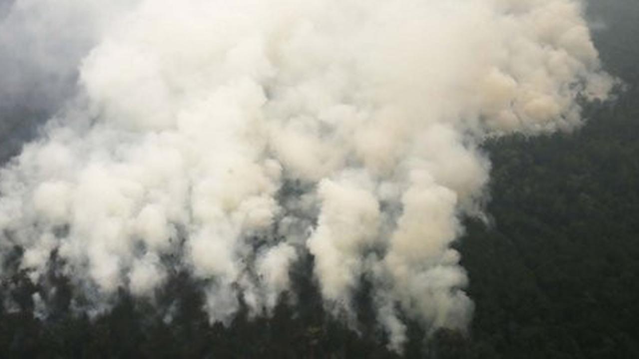 Tersangka karhutla bukan petinggi, penyidikan Polda Sumsel diragukan