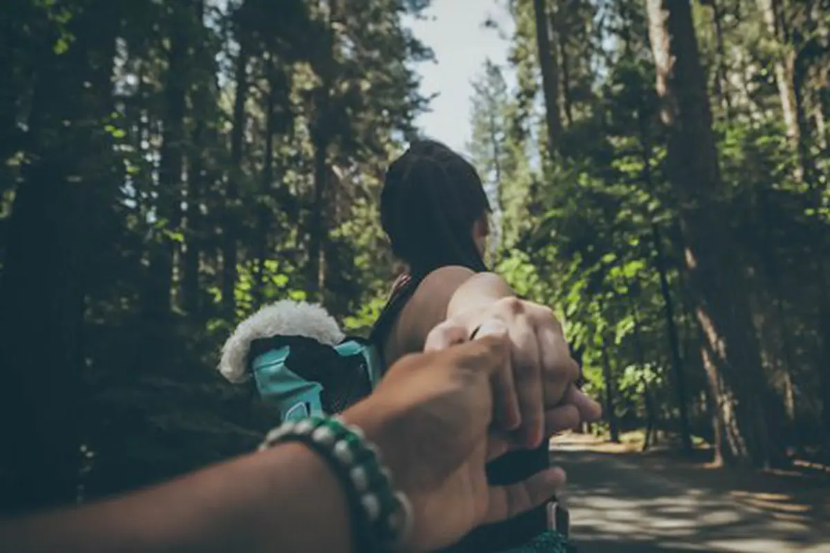 Ilustrasi./Copyright unsplash.com/jay carpio