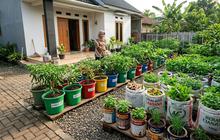 12 Wadah Bekas yang Bisa Dijadikan Pot Tanaman Selain Polybag, Cocok untuk Urban Farming