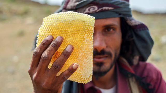 Melihat Produksi Madu Yaman yang Jadi Salah Satu Terbaik di Dunia