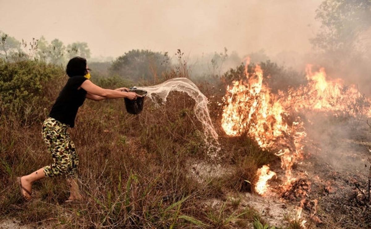 Perjuangan warga padamkan kebakaran hutan dengan alat seadanya