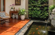 Panduan Lengkap Membuat Kolam Ikan Hias di Rumah yang Kecil, Menambah Keasrian dan Estetika