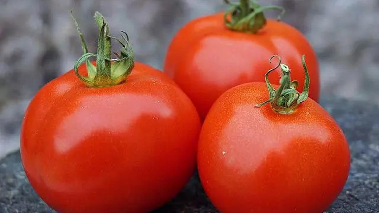 Cara Sederhana Menurunkan Kolesterol secara Alami dengan Sayur Tomat