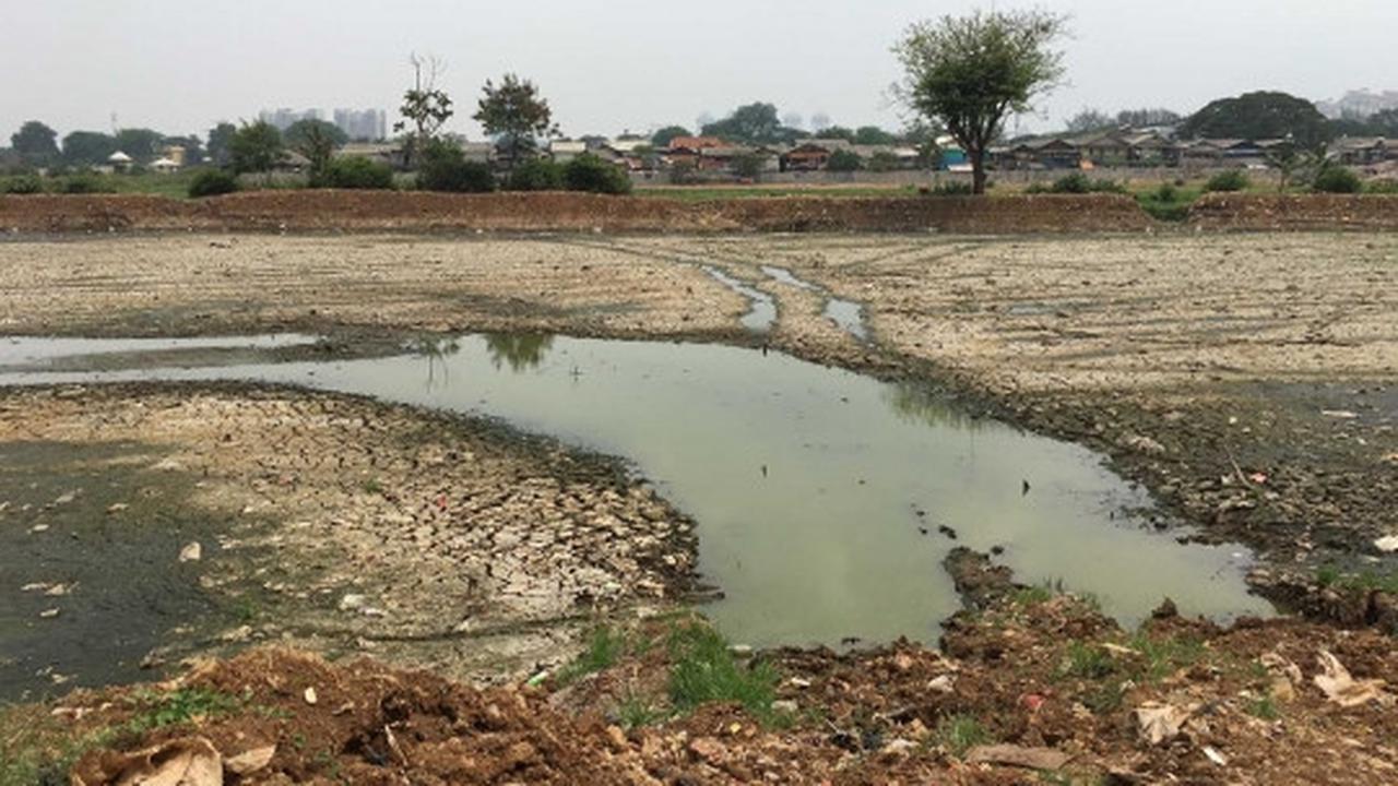 Kondisi Waduk Ria Rio yang kering kerontang akibat kemarau panjang