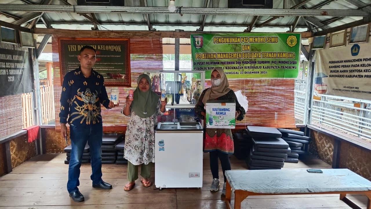Dari Satu Ekor Kini Tembus Seratus Ekor, UMKM Susu Kambing Ras Farm Tumbuh Pesat Berkat KUR BRI