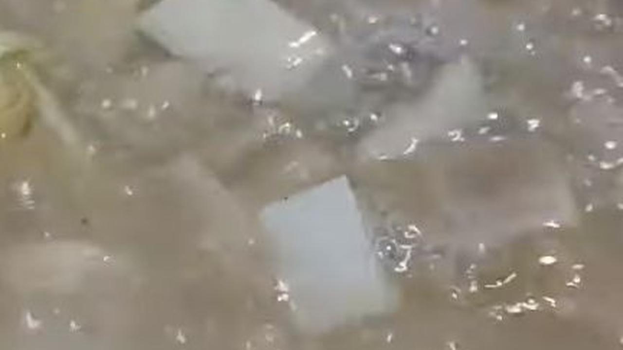 Masak Kikil Sapi