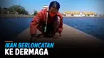 ikan thumbnail