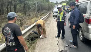 Detik-Detik Kecelakaan Maut di Mesuji, Motor Terpental hingga Terbakar
