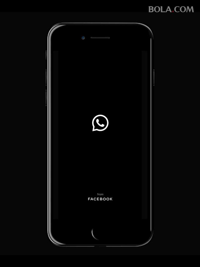 Ilustrasi WhatsApp, Aplikasi WhatsApp