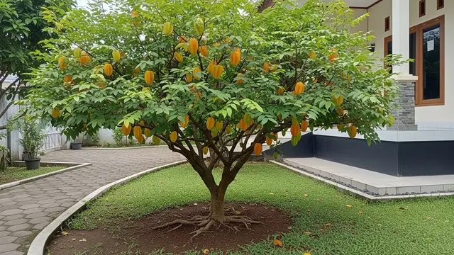 Pohon Buah Berakar Dangkal vs Berakar Dalam, Mana yang Aman Dekat Rumah (AI)