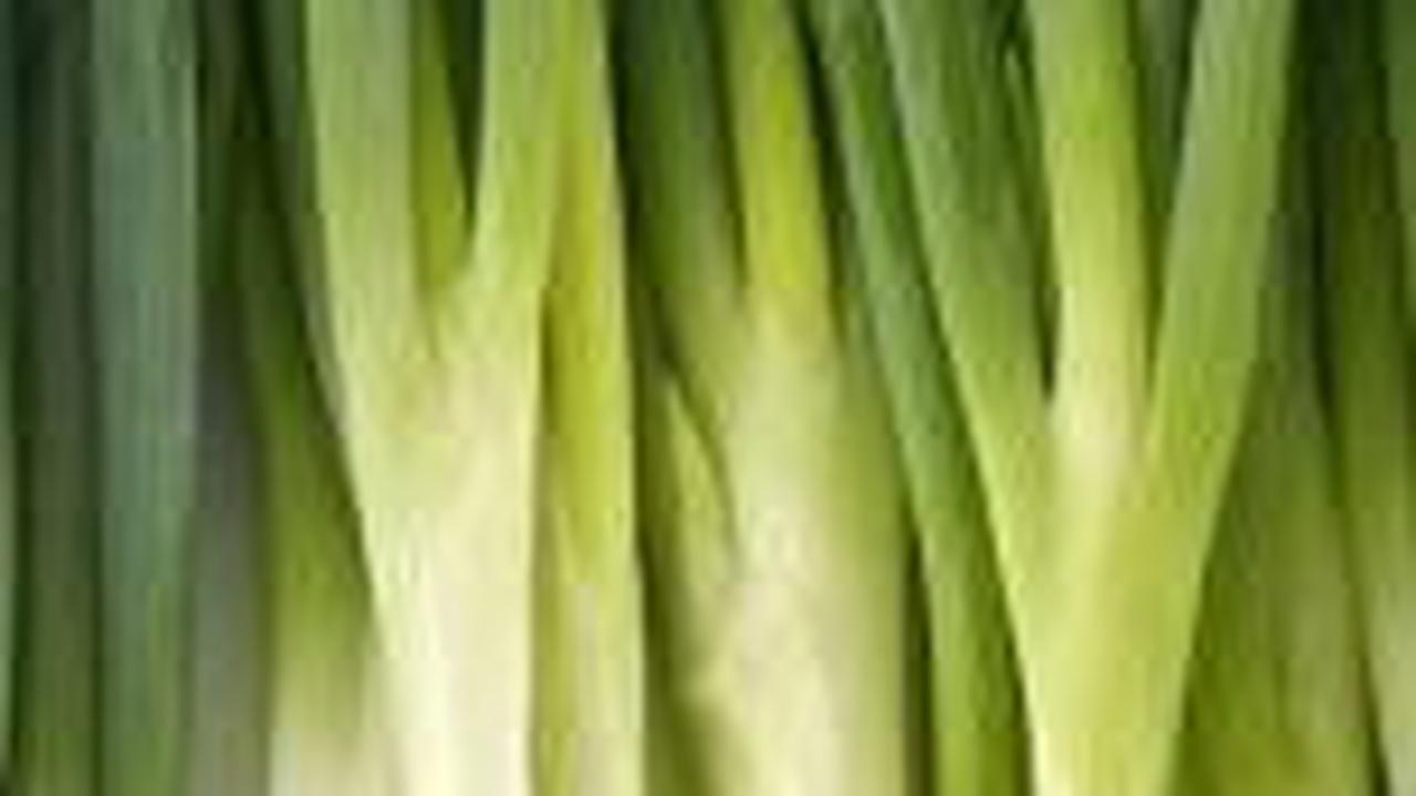 13. Daun Bawang