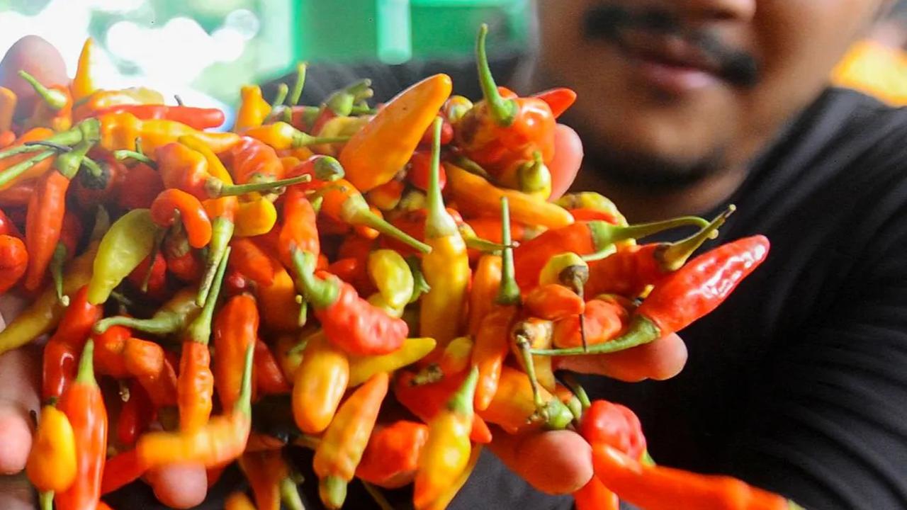 FOTO: Harga Cabai Rawit Merah Masih Tinggi Tembus Rp85 Ribu di Pasar Tradisional Jakarta