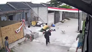 Diserang Anjing Pitbull, Bocah 9 Tahun di Bandung Jalani Operasi