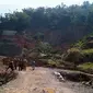 Pergeseran tanah menyebabkan longsor di Kampung Kampung Muara, Desa Cibunian, Kecamatan Pamijahan, Kabupaten Bogor, Jabar pada 22 November. (Achmad Sudarno/Liputan6.com)