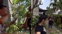 6 Potret Taman Mini Rumah Ari Lasso yang Asri, Jadi Spot Santai Favorit bareng Kekasih