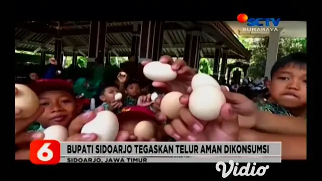 Bupati Sidoarjo, Saiful Illah, menyelenggarakan kegiatan Gerakan Makan Telur bersama siswa/siswi dalam rangka menepis dugaan telur mengandung dioksin sekaligus merayakan Hari Pangan Sedunia.