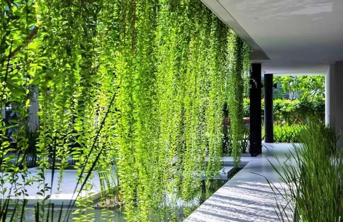 Inspirasi Desain Rumah Modern Tropis, Solusi Nyaman untuk Iklim Indonesia