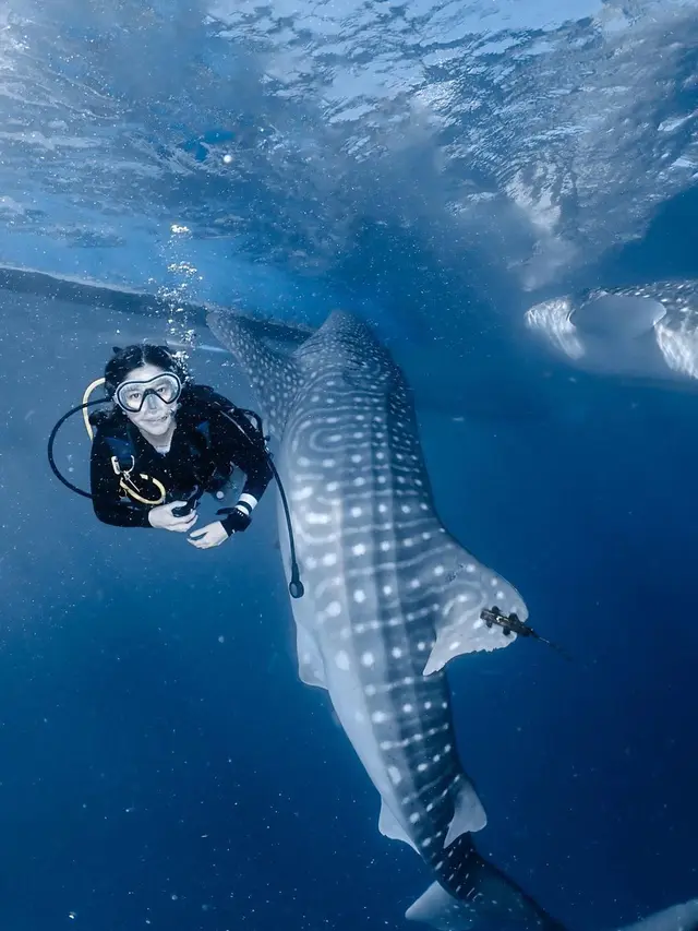 [Fimela] Naysila Mirdad diving