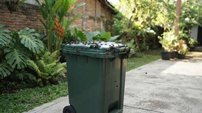 8 Cara Menjaga Tempat Sampah agar Tidak Mengundang Lalat, Cegah Risiko Penyakitnya