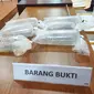 Barang bukti berupa benih lobster yang berhasil diamankan dari pelaku penyelundupan di Pulau Rimau Banyuasin Sumsel (Liputan6.com / Nefri Inge)