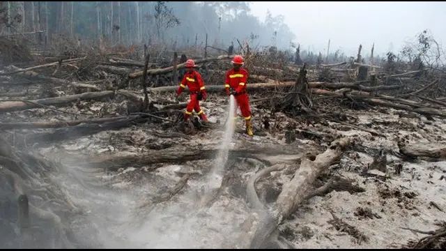 Sebanyak 22 perusahaan di Riau diduga terlibat membakar lahannya untuk membuka perkebunan baru. Dari jumlah itu, barang bukti keterlibatan 17 perusahaan sudah ditemukan polisi dan sudah dinaikkan status hukumnya ke penyidikan.