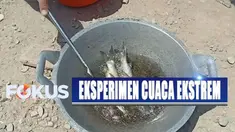 Partini dan para tetangganya mengaku melakukan percobaan menggoreng ikan ini untuk membuktikan panas matahari yang belakangan dikabarkan meningkat.