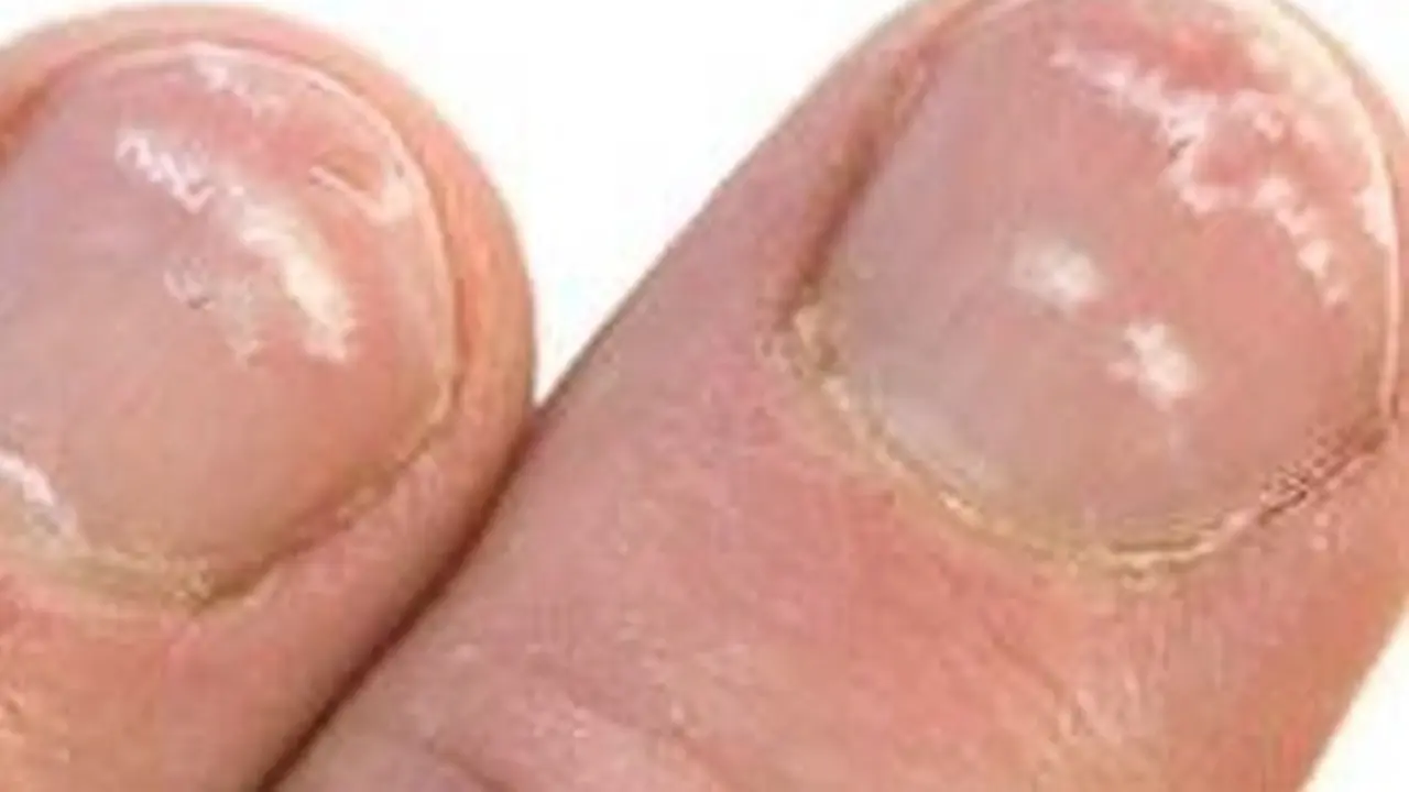Kuku Kaki